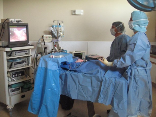 Epidural- To take or not to take?